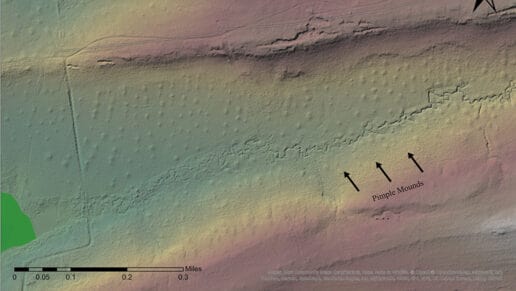 Three dimensional map of pimple mounds
