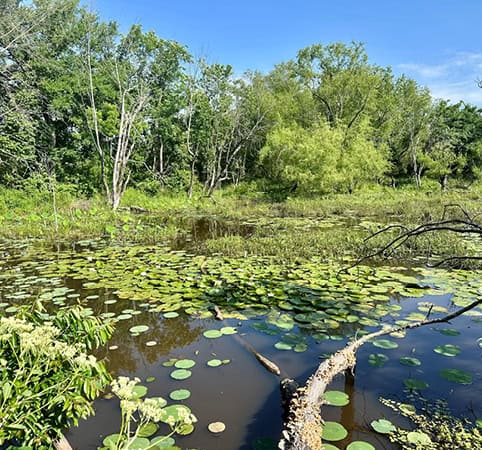 Watershed on the Choctaw reservation.
